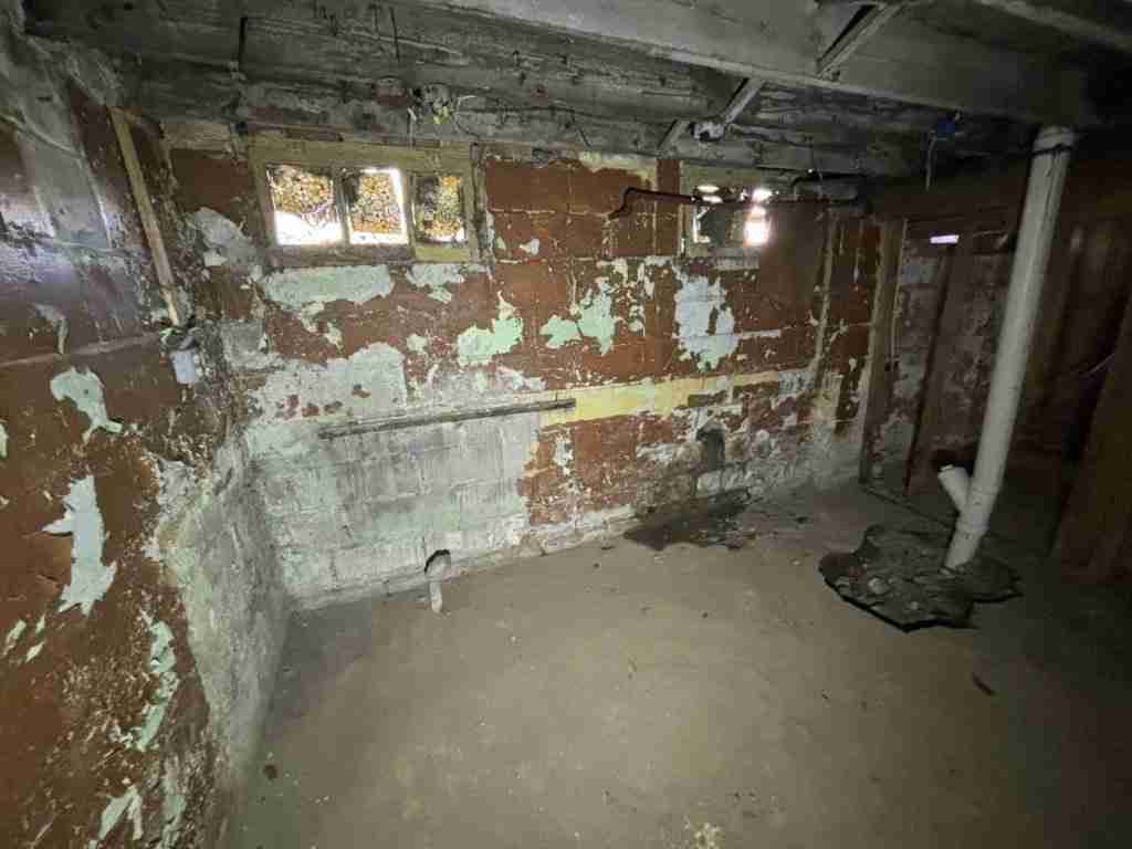 20241017_162838508_iOS (2).jpg